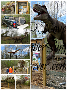 Field Station Dinosaurs