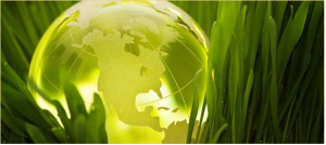 Globe in Grass