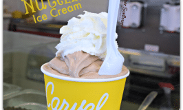 summer has a new flavor #carvel #nutella #nationalicecreamday