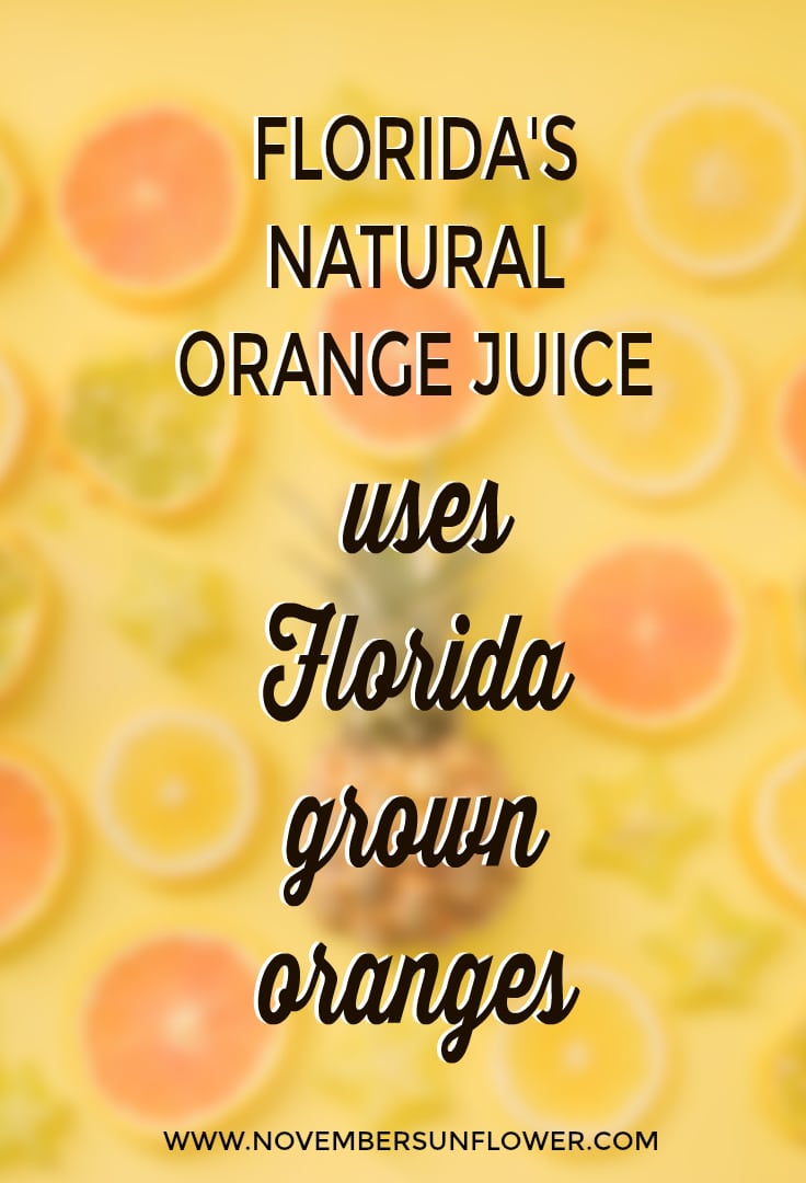 florida grown oranges used in Florida's Natural OJ