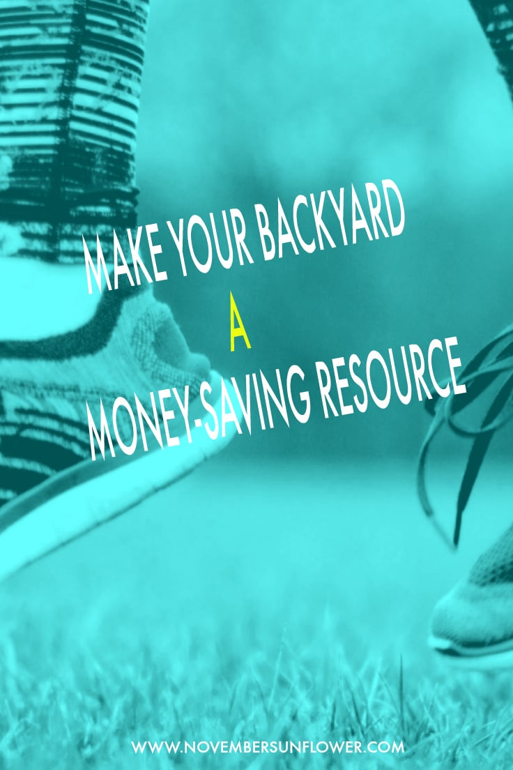 Make your backyard a money-saving resource