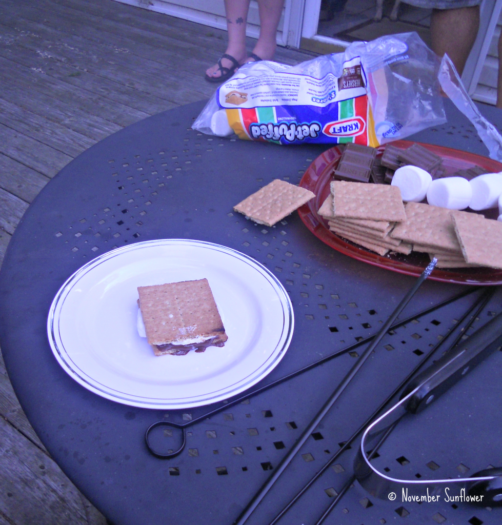 The Finished S'More