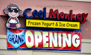 Cool Monkey Grand Opening