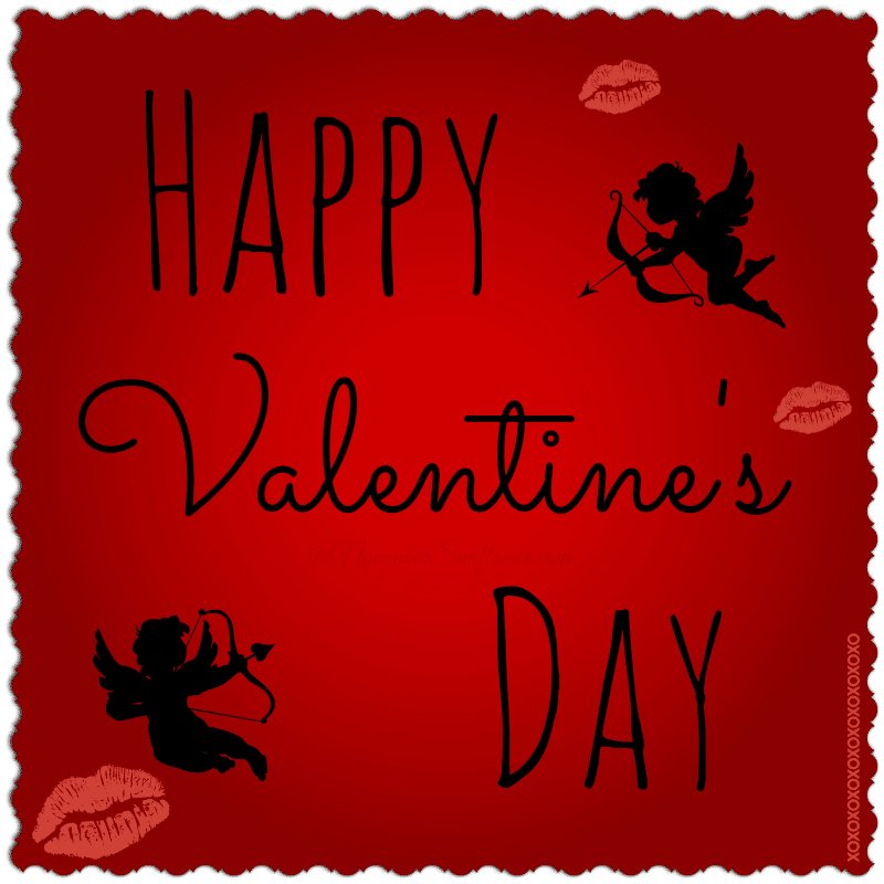 #ValentinesDay #Vday2014 