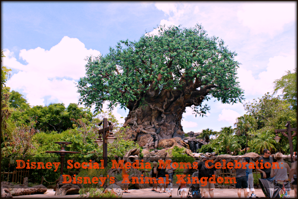 Disney Social Media Moms Celebration: Disney's Animal Kingdom 