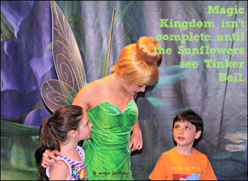 Disney's Magic Kingdom Tinker Bell 