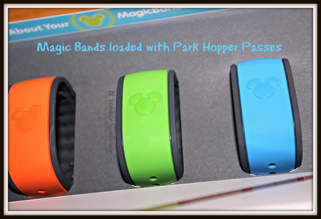 Disney World Magic Bands house FastPass selections and Park Hopper Pass 