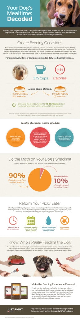 Just Right by Purina Mealtime Infographic 