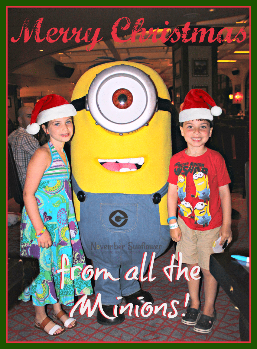 Merry Christmas from the minions #minions #christmas #holidays