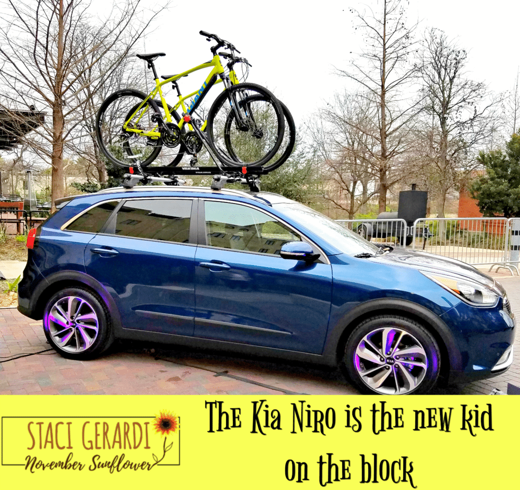 Kia niro bike store carrier