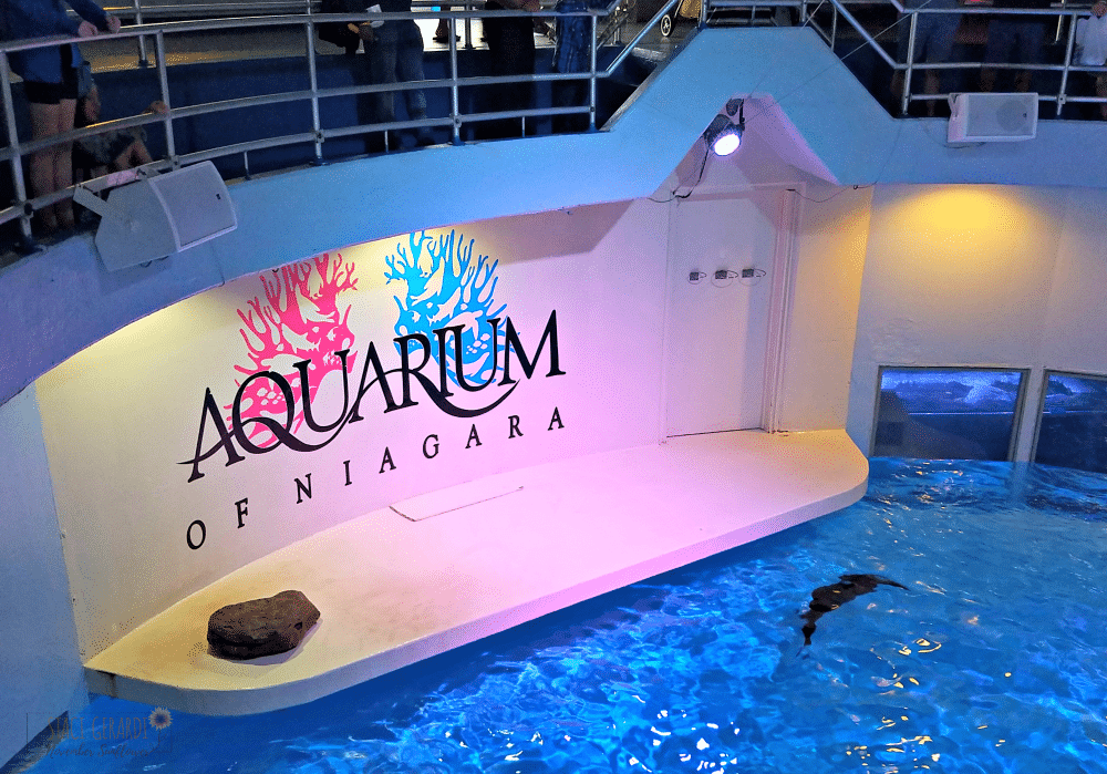 Aquarium of Niagara 