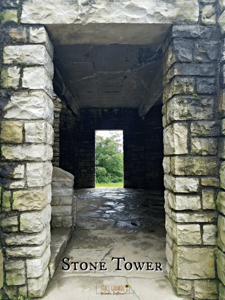 Stone Tower at Allegany State Park