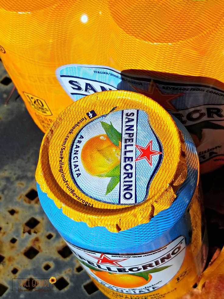 San Pellegrino Sparkling Water Aranciata