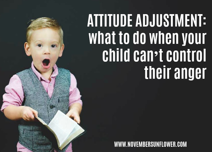 attitude adjustment: what to do when your child can’t control their anger