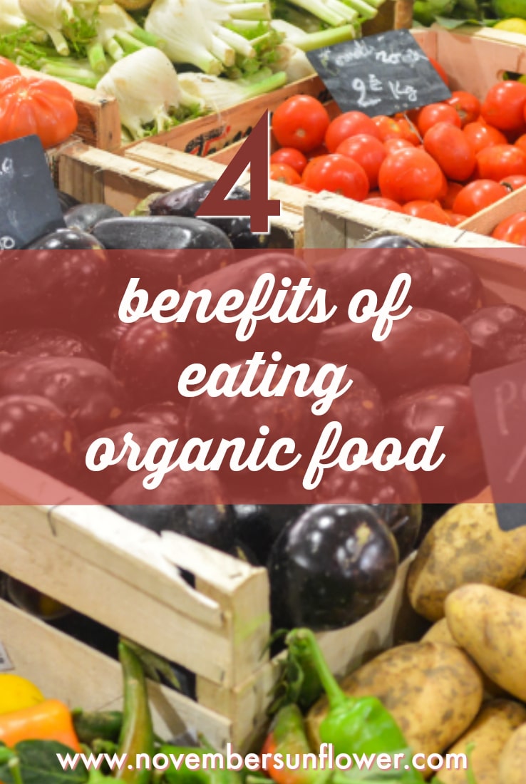 4 benefits of eating organic foods