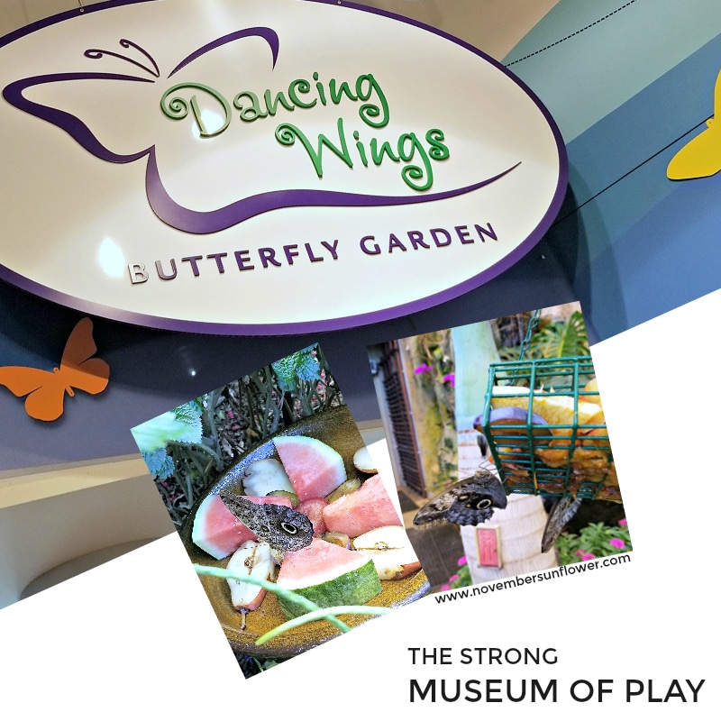 The Strong Museum of Play - Dancing Wings Butterfly Garden