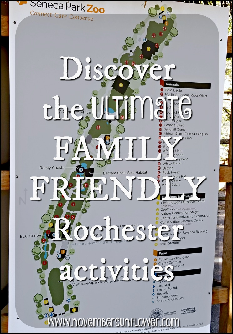 Discover the ULTIMATE family friendly Rochester activities