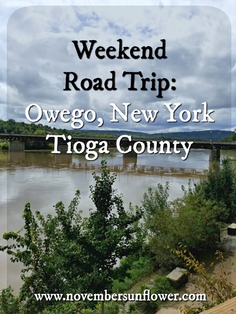 Historic Owego in Tioga County New York