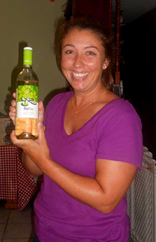 FlipFlipWine-Pinot Grigio