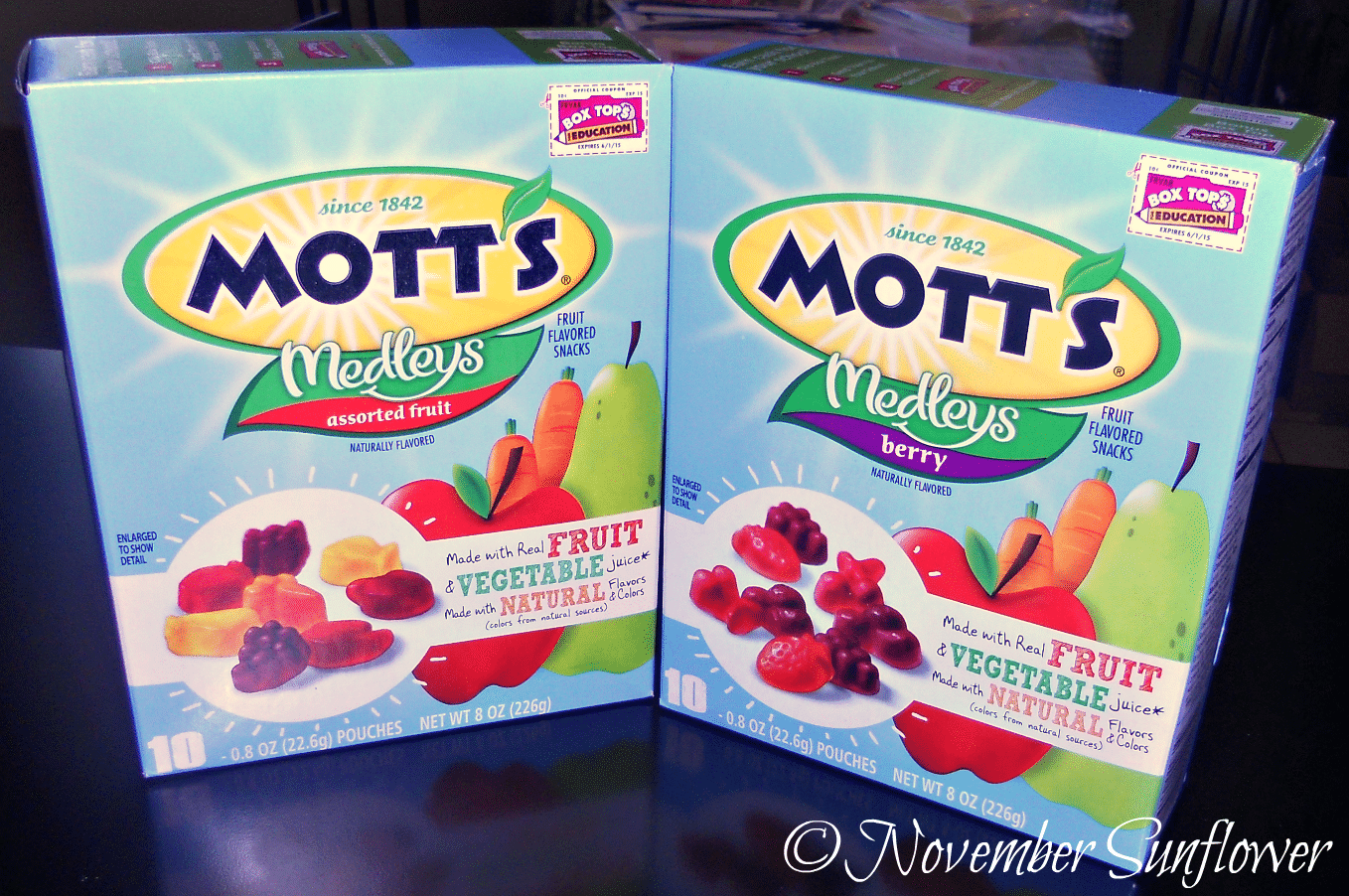 What my kids think about Mott's Fruit Snacks