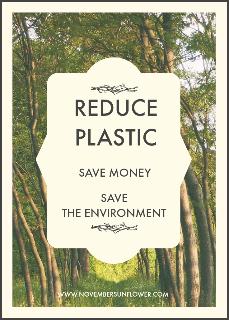 Reduce Plastic to save money & the environment