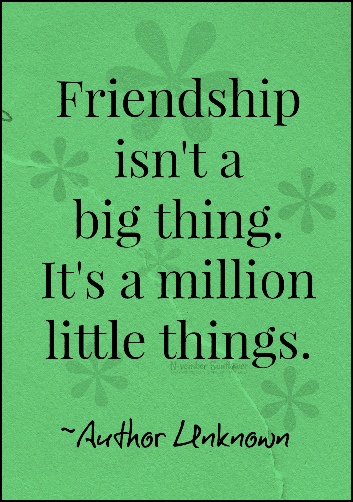 friendship is a million little things #friendship