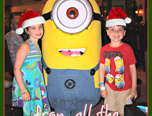 Merry Christmas & Happy New Year from the entire Sunflower Family