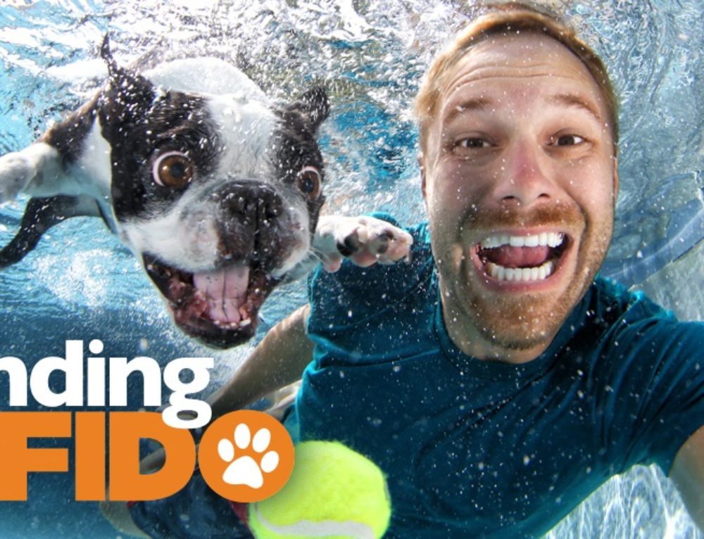 Pairing people with pooches on Z Living’s newest show Finding Fido