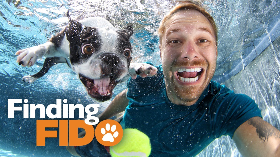 Pairing people with pooches on Z Living's newest show Finding Fido