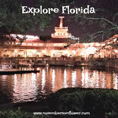 Explore the beauty of Florida with your Family