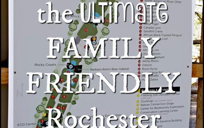 family friendly Rochester