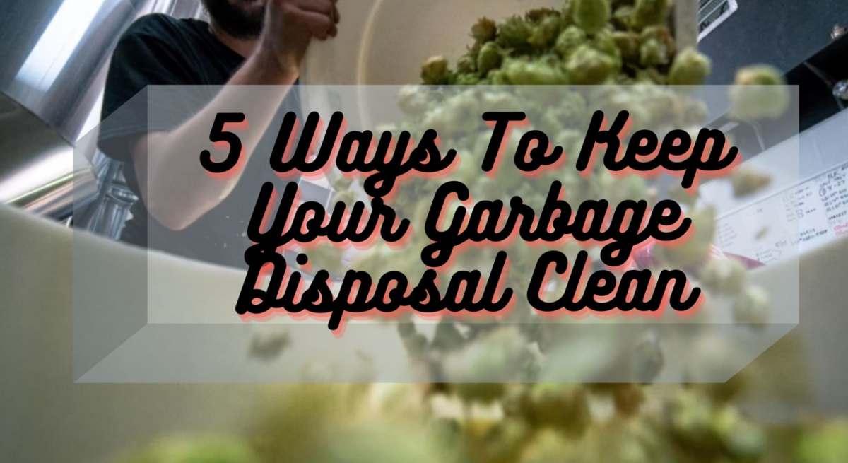 How to Keep Your Garbage Disposal Clean November Sunflower