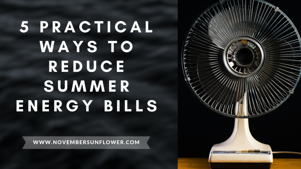 reduce summer energy bills