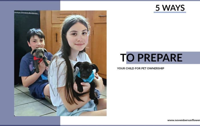 kids holding two puppies - prepare your child for pet ownership