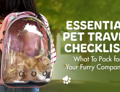 Essential Pet Travel Checklist: What To Pack for Your Furry Friend