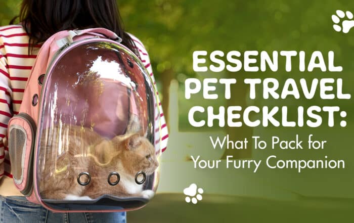 pet travel checklist essentails