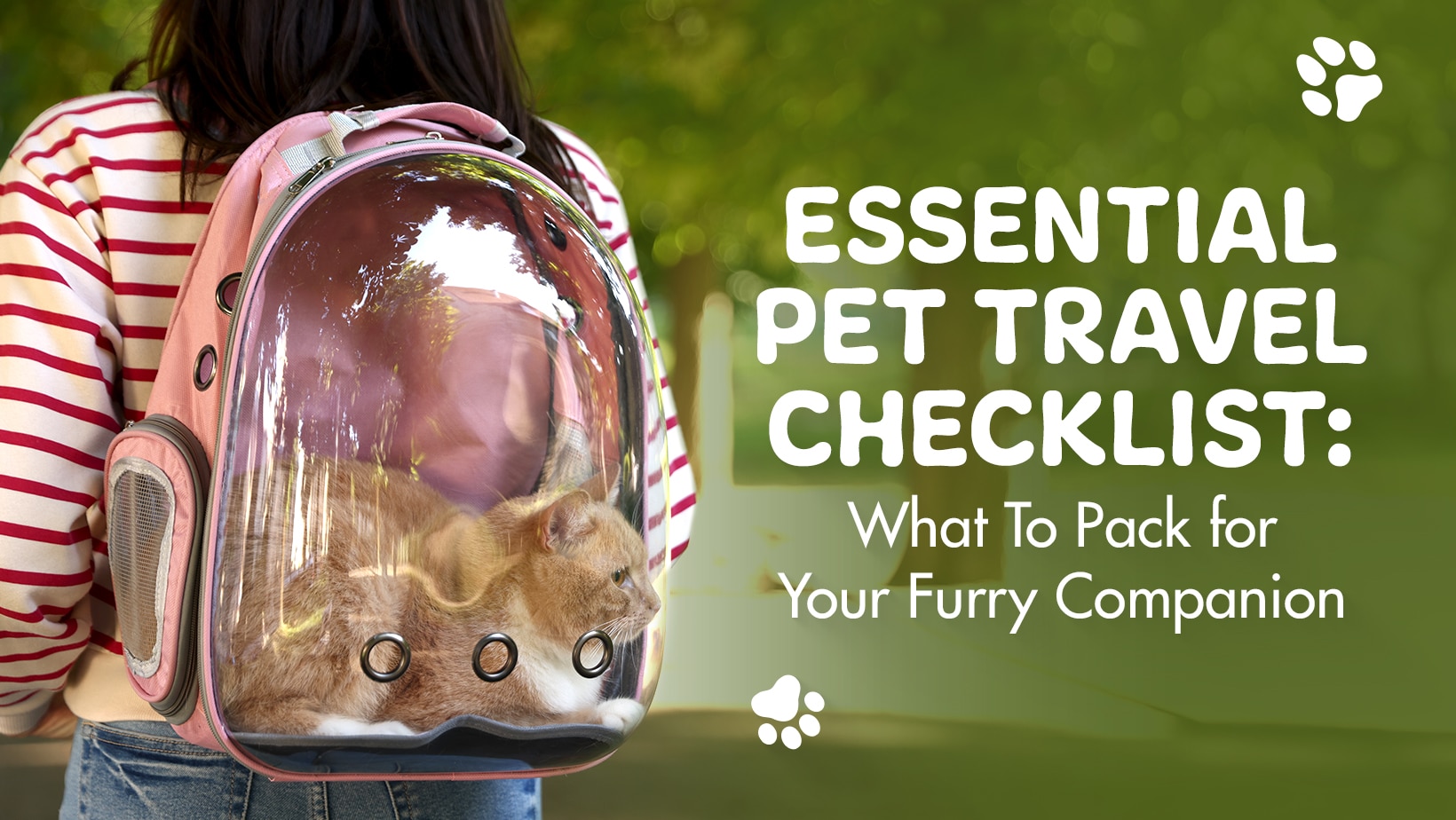 pet travel checklist essentails