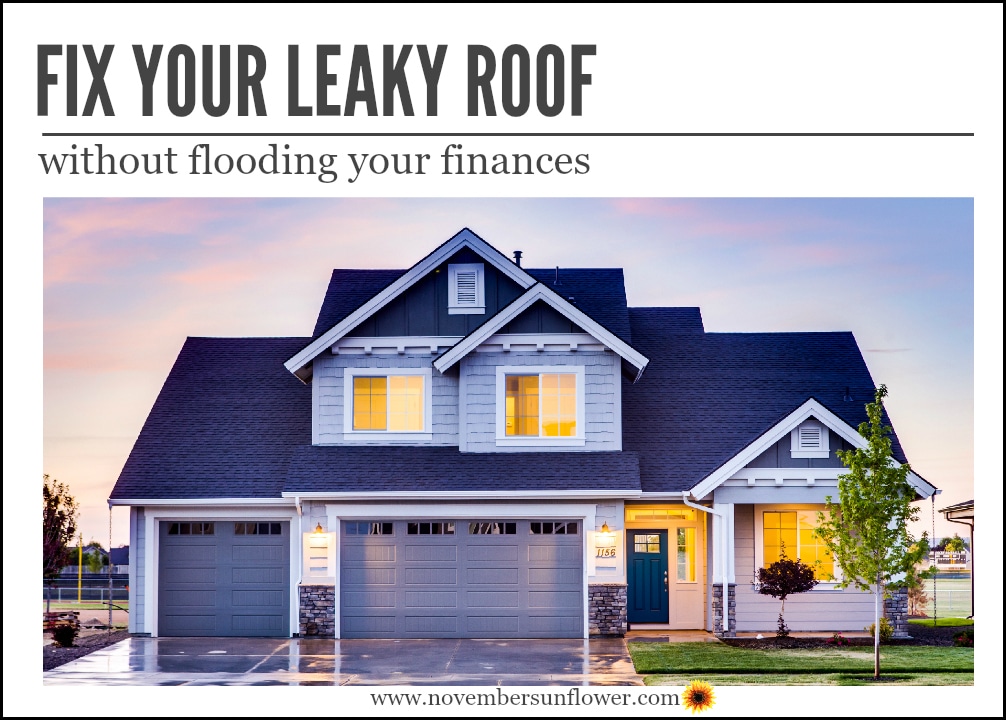 Beautiful Home - Fix Your Leaky Roof 