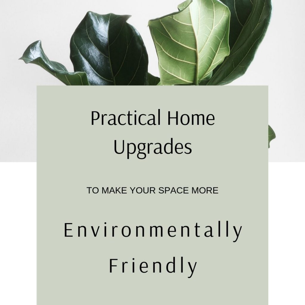 Environmentally Friendly Homes