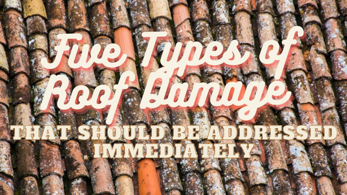 The Types of Roof Damage to Address Immediately | November Sunflower
