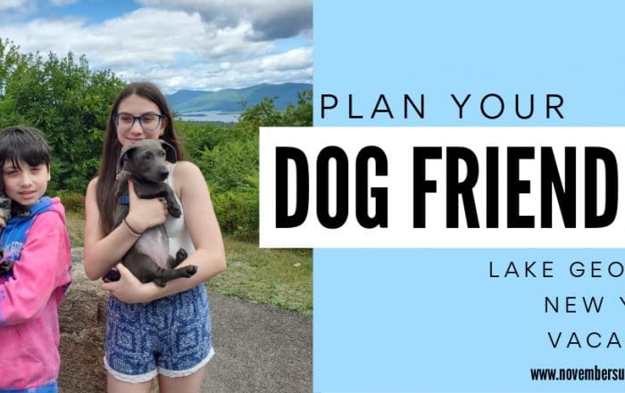 planning your family's dog friendly Lake George vacation