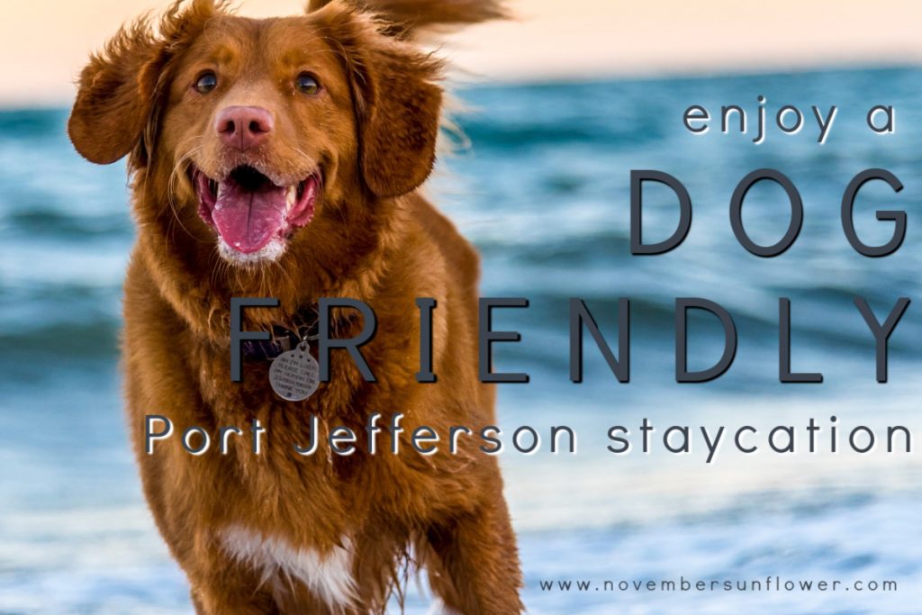 dog friendly Port Jefferson Long Island