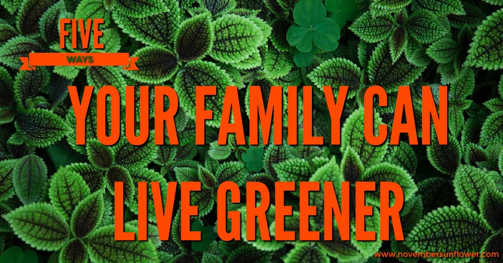 green plants - five ways your family can live greener