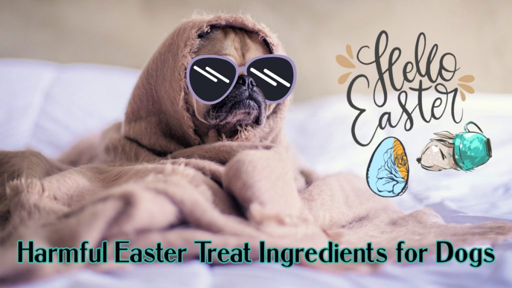 harmful easter treat ingredients for dogs