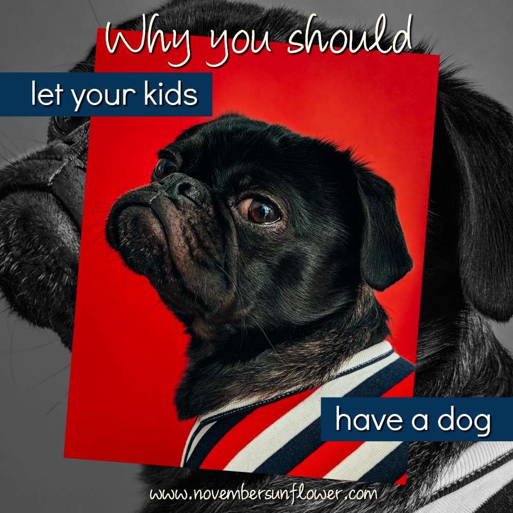 Why you should let your kids have a dog 