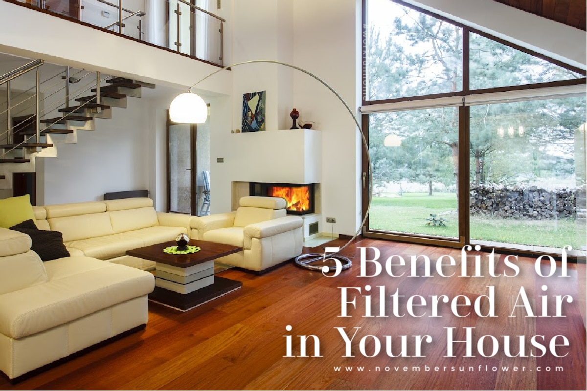 benefits of filtered air