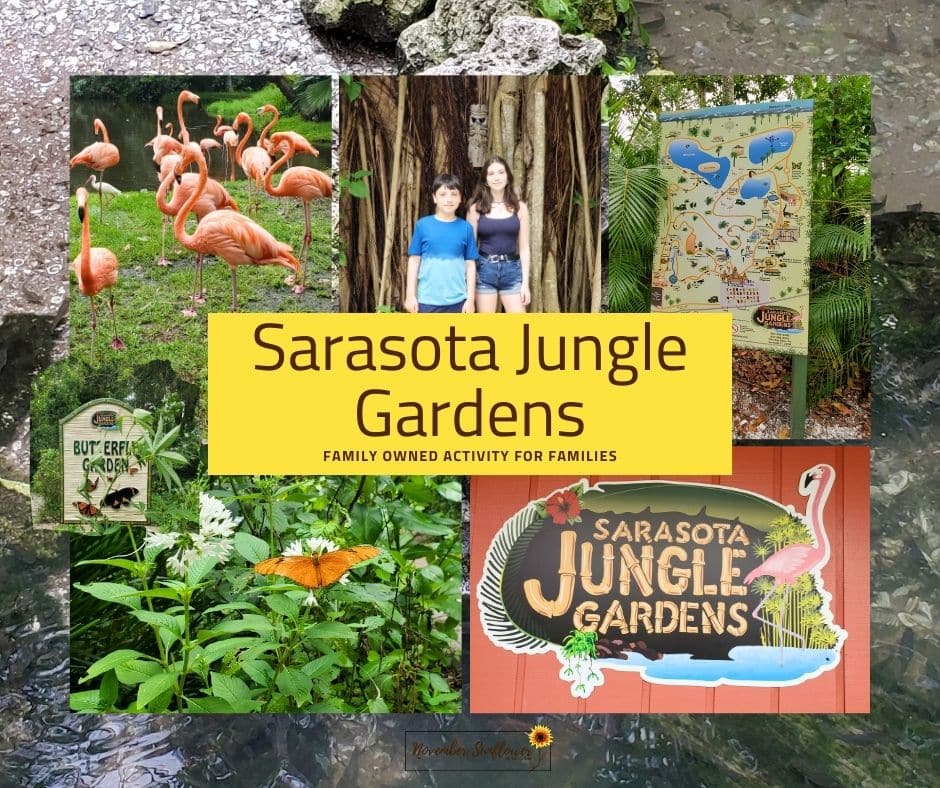 sarasota jungle gardens