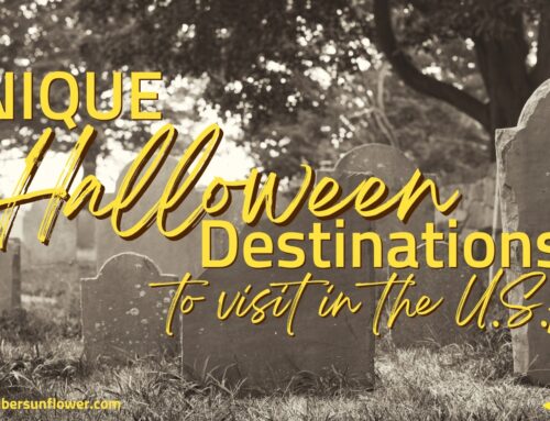 Unique Halloween Destinations to Visit in the USA