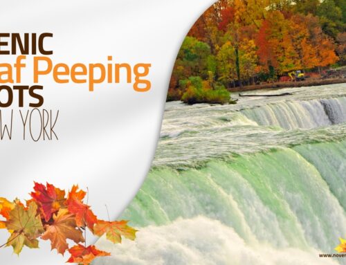 Scenic Leaf Peeping Spots in New York