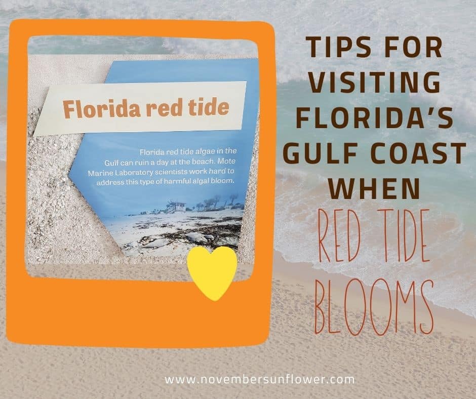 red tide blooms